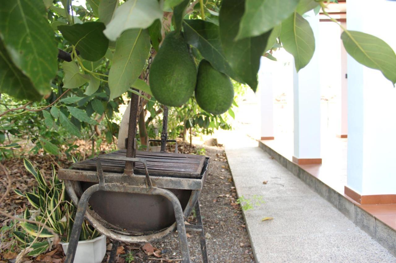 Casita Lily Villa Las Palmas de Gran Canaria Exterior foto